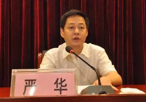 王牌阅官||湖南永州市委书记严华：不要让5+2、白+黑、8+X成为工作常态